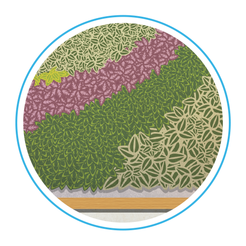 Illustration of indoor plants for air quality