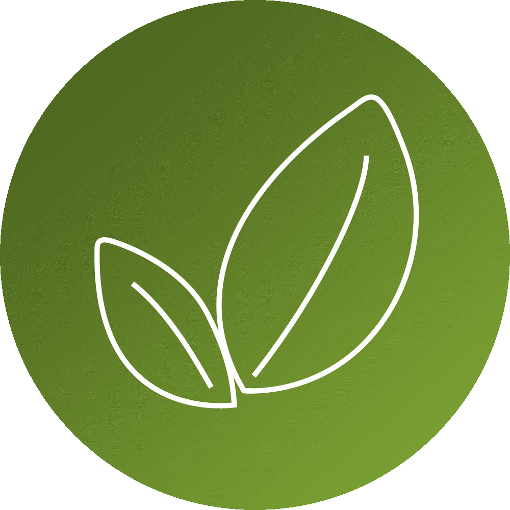 Plant growth icon